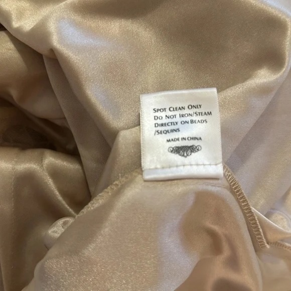 Sleeveless Sue Wong Nude Cocktail Dress (Size 10) - Picture 8 of 8